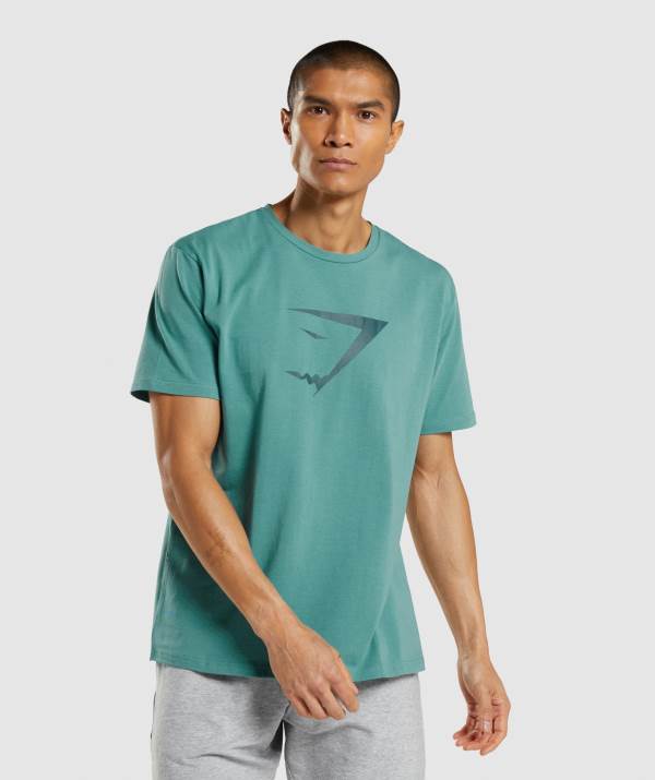 Panske Tricka Gymshark Sharkhead Infill Tyrkysové | CA7634902